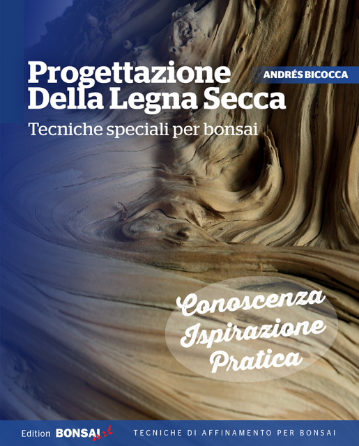 Progettazione Della Legna Secca