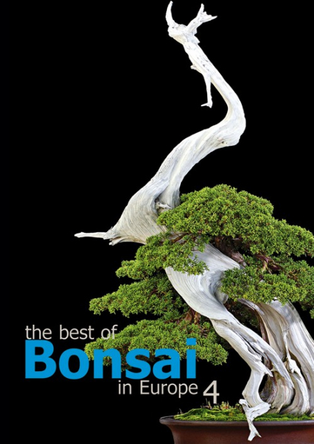 Logo:The Best of Bonsai in Europe 4.